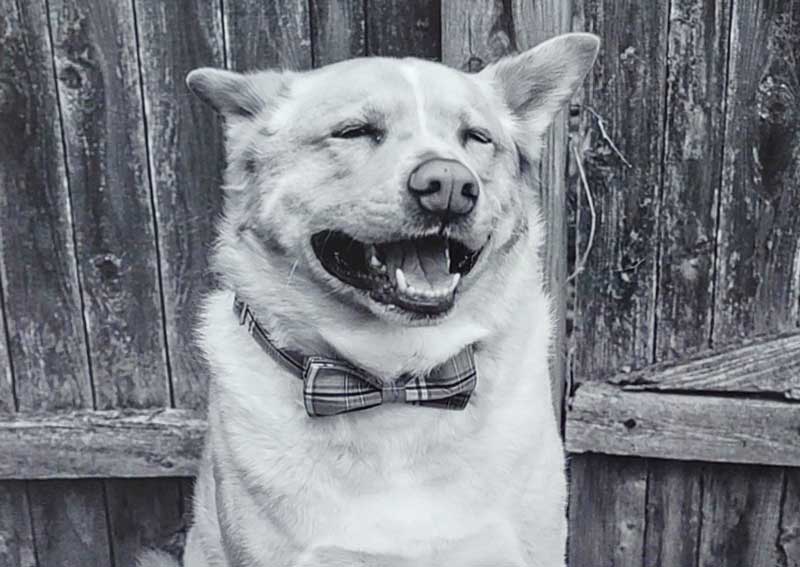 Carousel Slide 6: Join our team