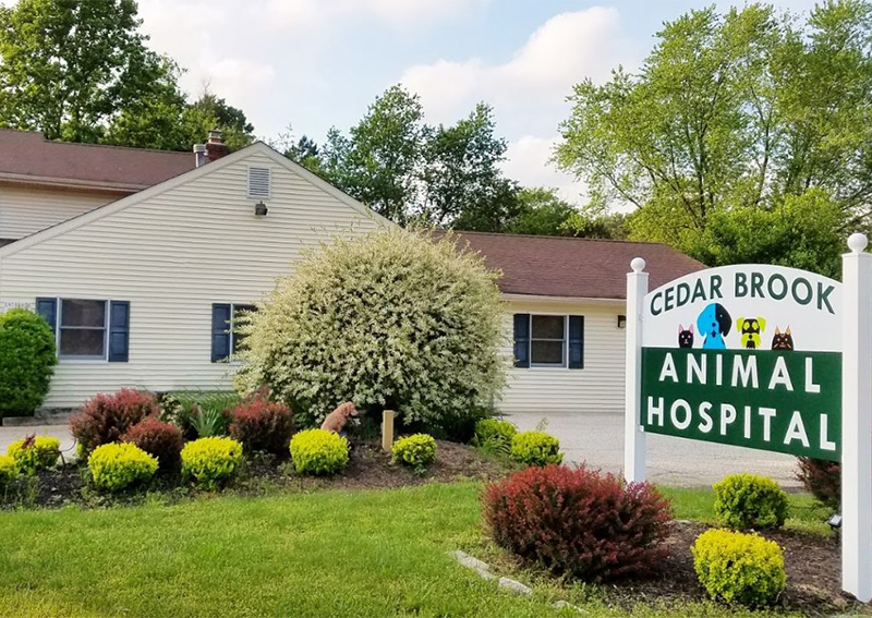 Carousel Slide 3: Cedar Brook Animal Hospital