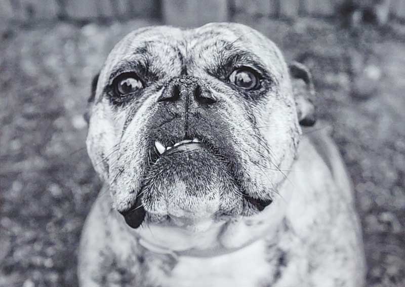 Carousel Slide 11: Hospital policies